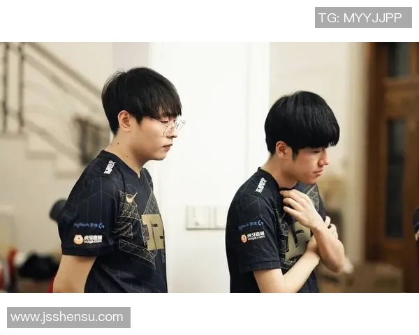 RNG战队转型之路的纪实记录与荣耀重塑之旅实时新闻